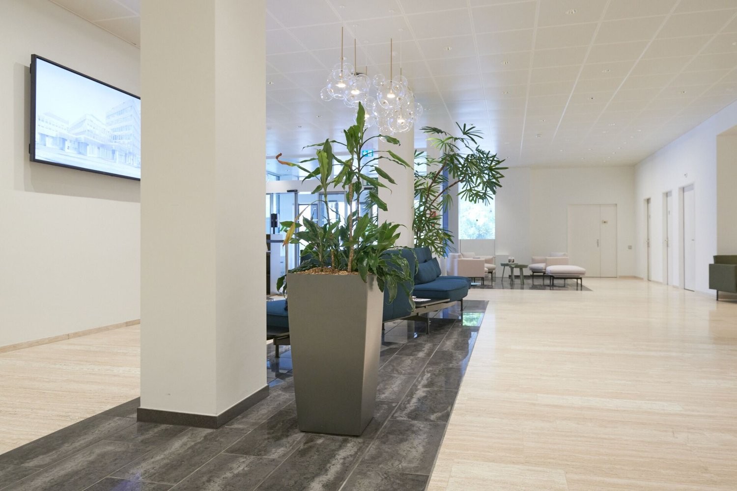 141m² commercial, photo 9 of 10