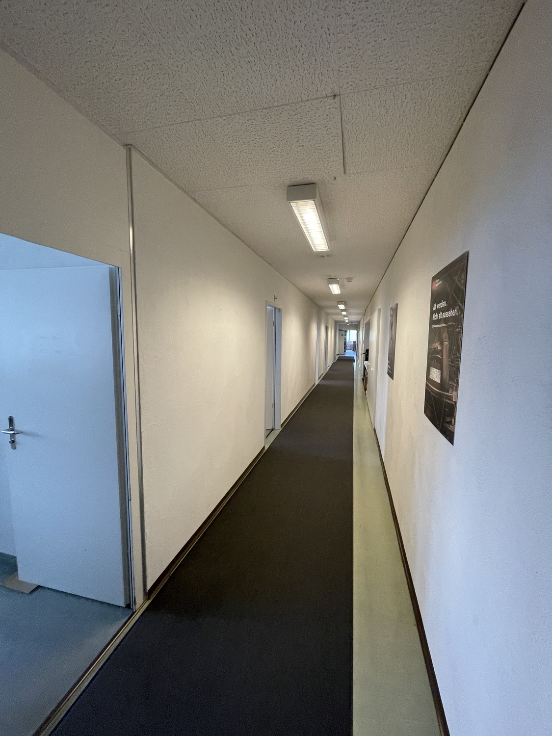 300-1240m² commercial, photo 4 of 10