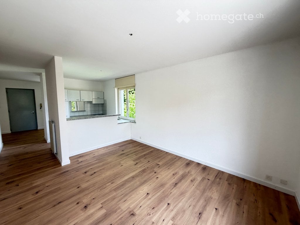 3 ½ Zimmer Wohnung