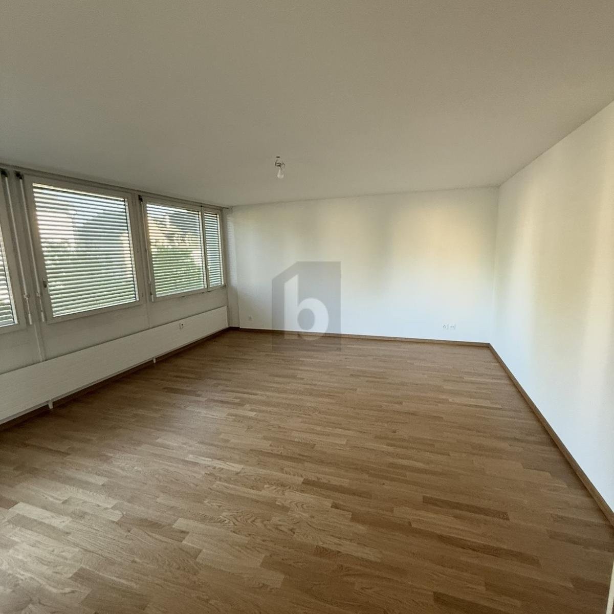 5 rooms apartment