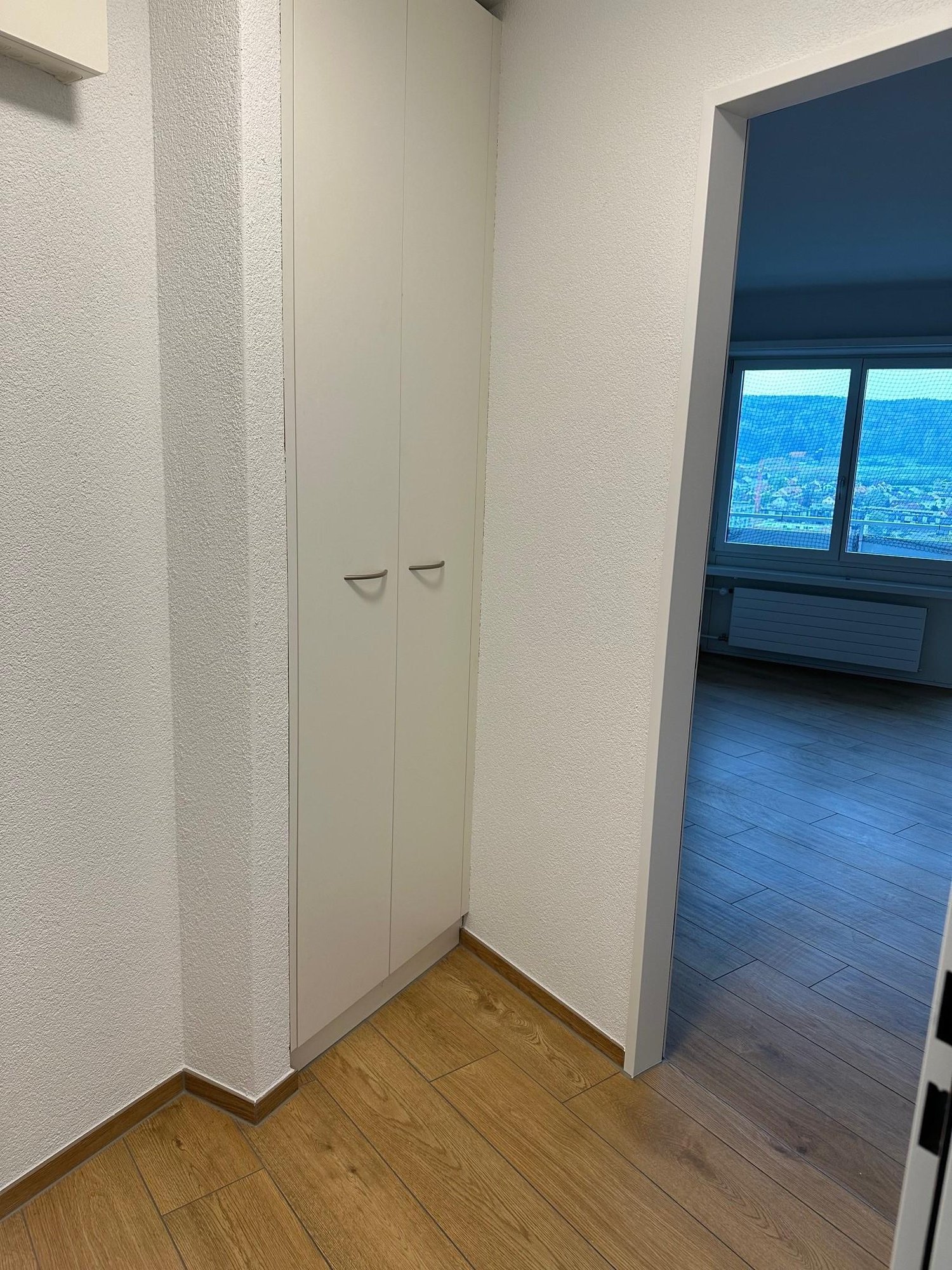 1 room apartment, photo 4 of 6