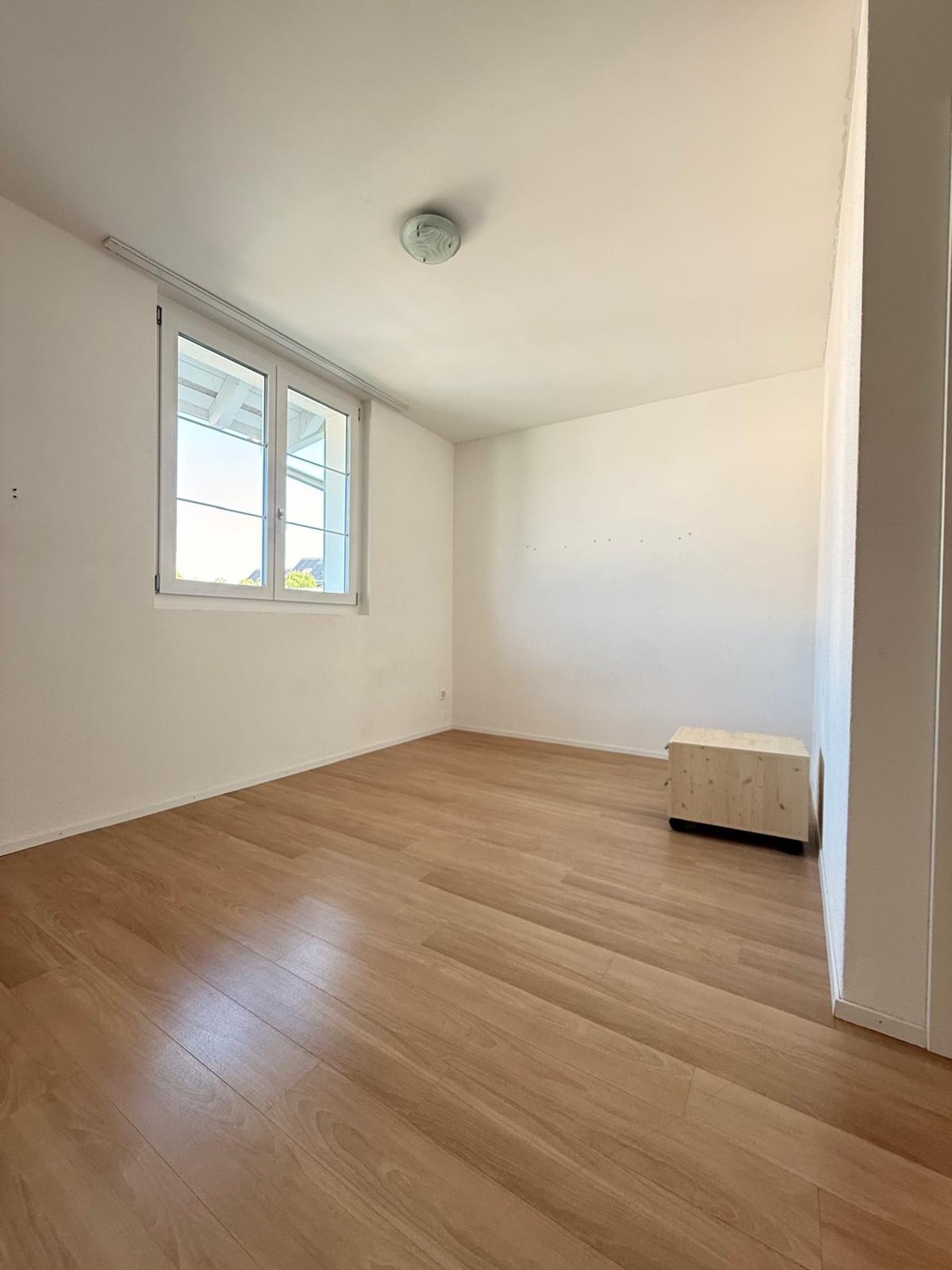 1 pièce studio