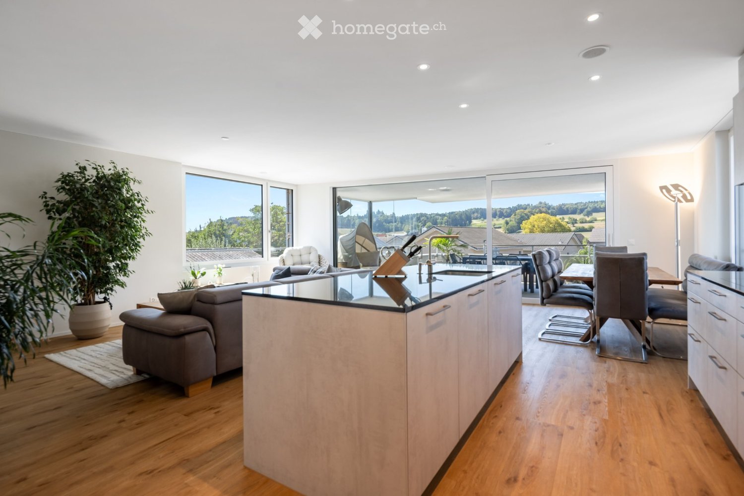 4 ½ rooms apartment