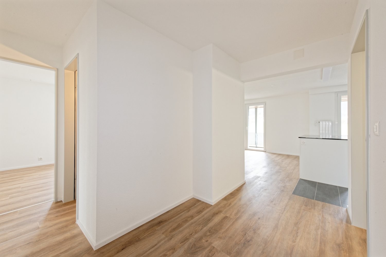 4 ½ rooms apartment (3)