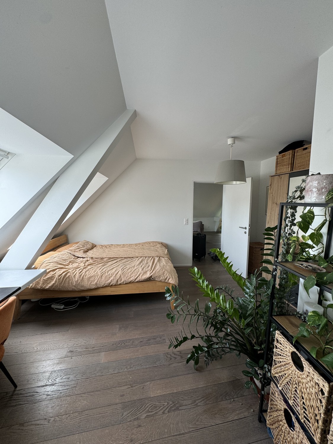 Chambre en colocation
