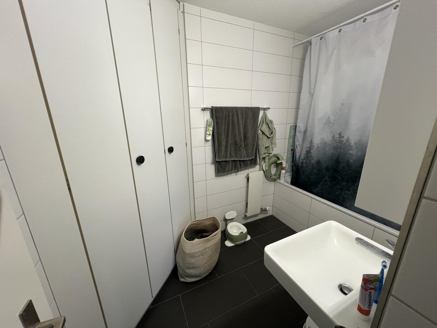 Appartement de 3 ½ pièces