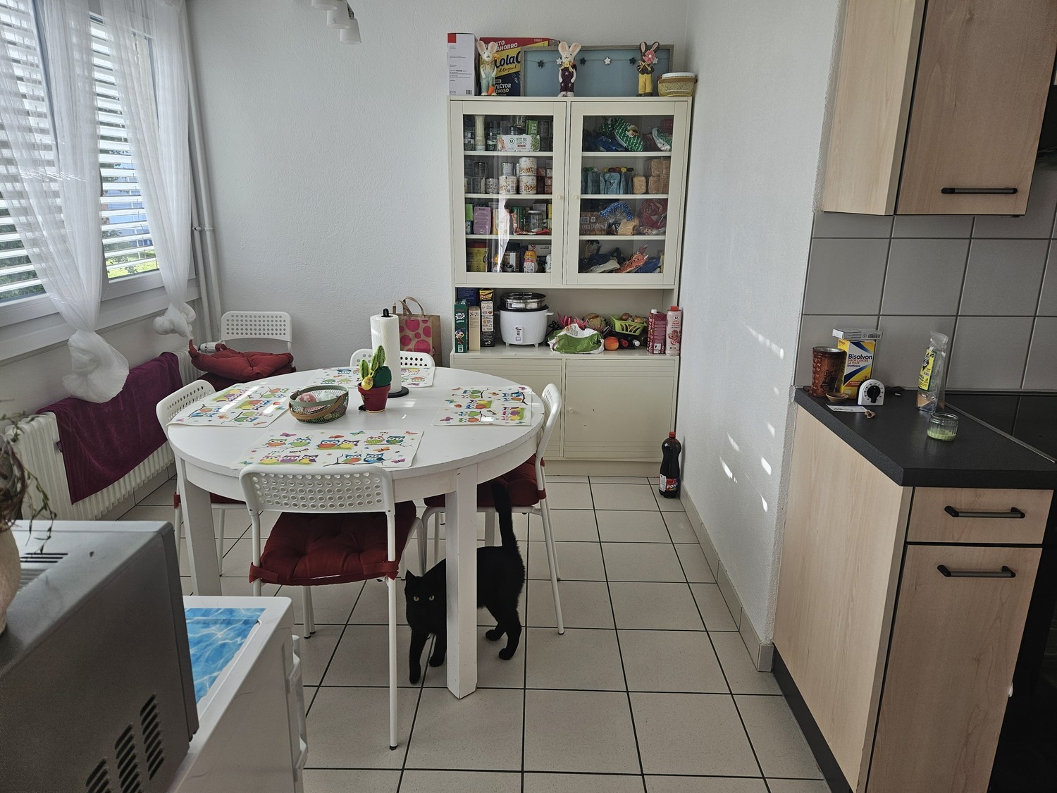 4 ½ rooms apartment, photo 3 of 10