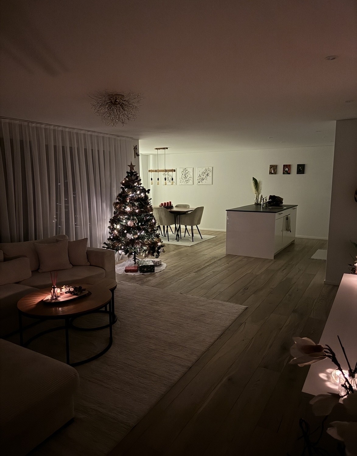 Appartement de 3 ½ pièces