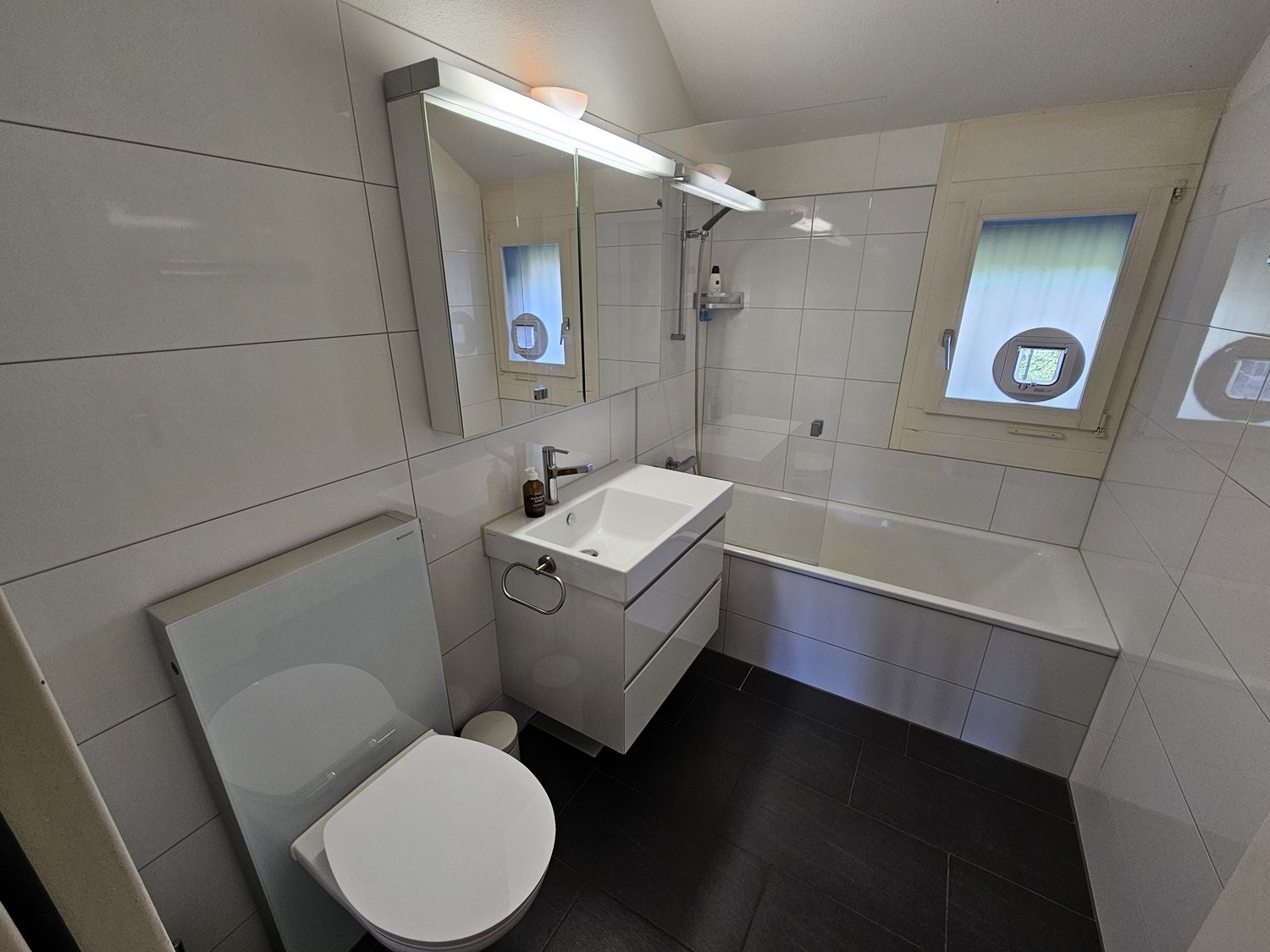 3 ½ rooms furnished flat