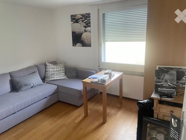 1 room single room