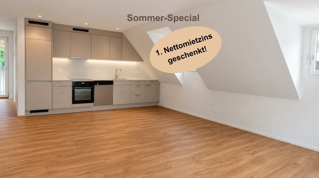 2 ½ rooms duplex