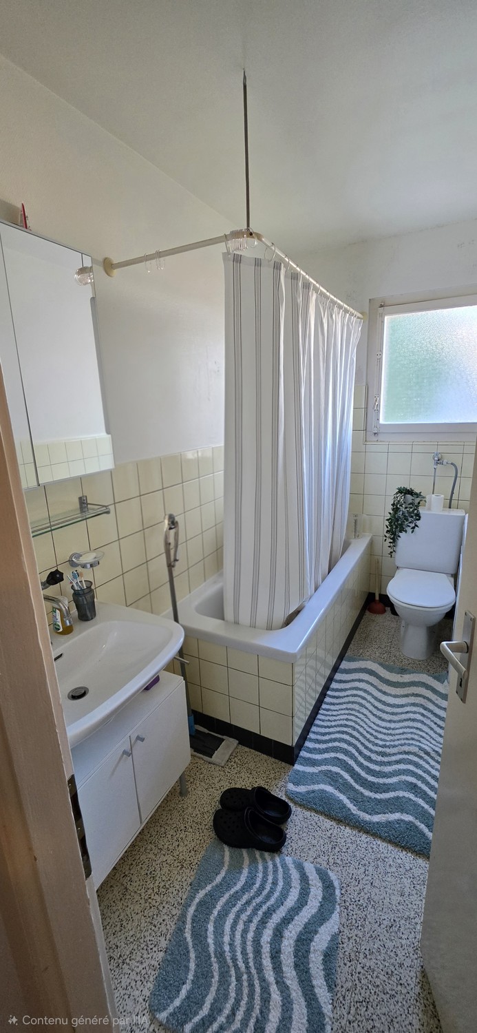 2 ½ Zimmer-Wohnung