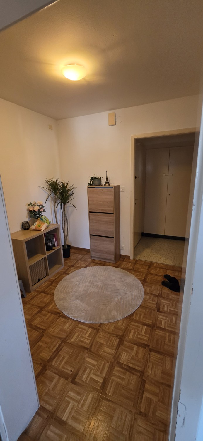 2 ½ Zimmer-Wohnung