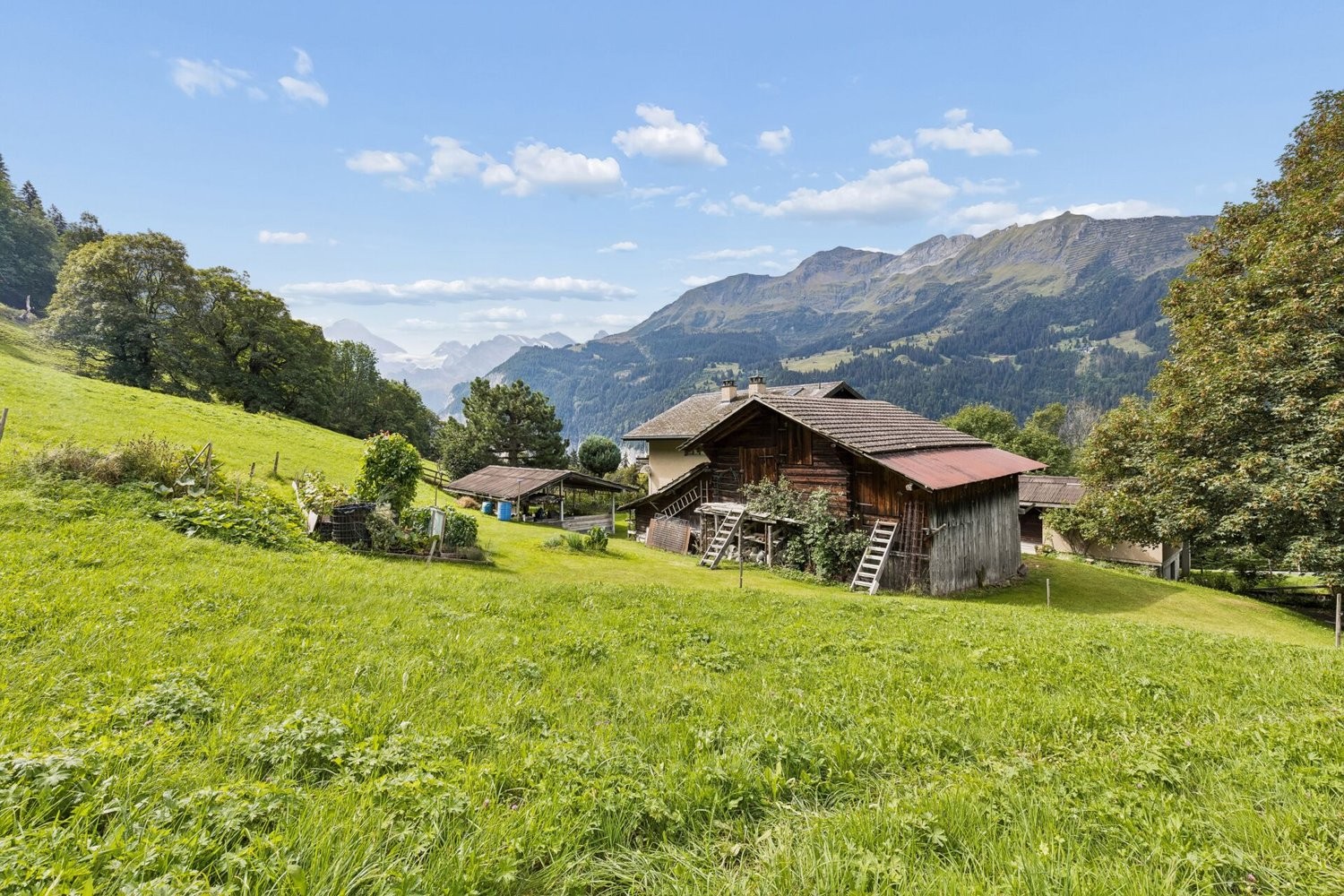3590m² terrain à bâtir