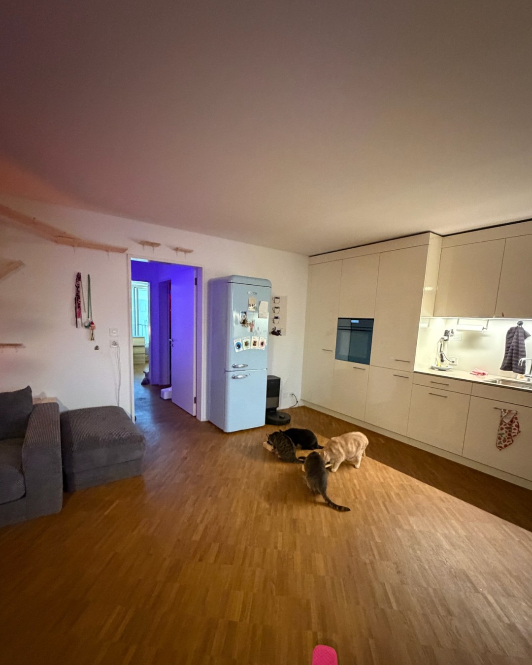 Appartamento di 3 ½ locali