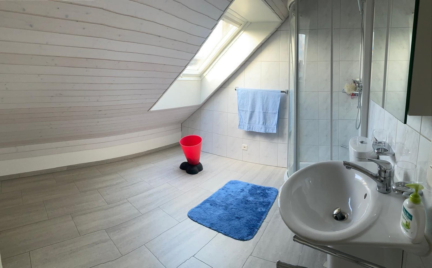 Room in a shared flat