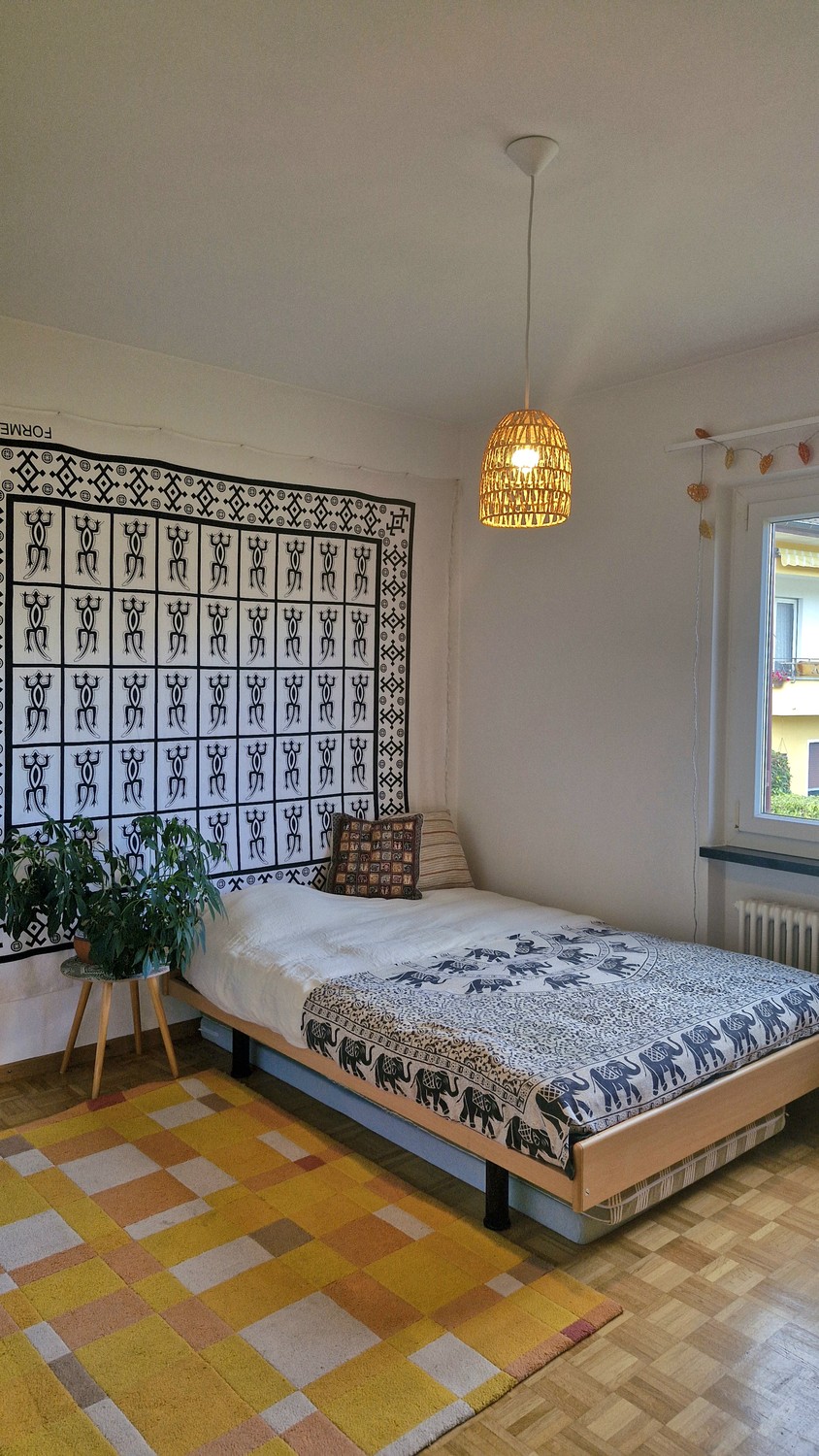 Room in a shared flat