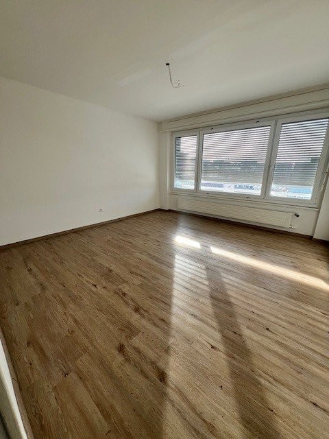 4 ½ rooms apartment (5)