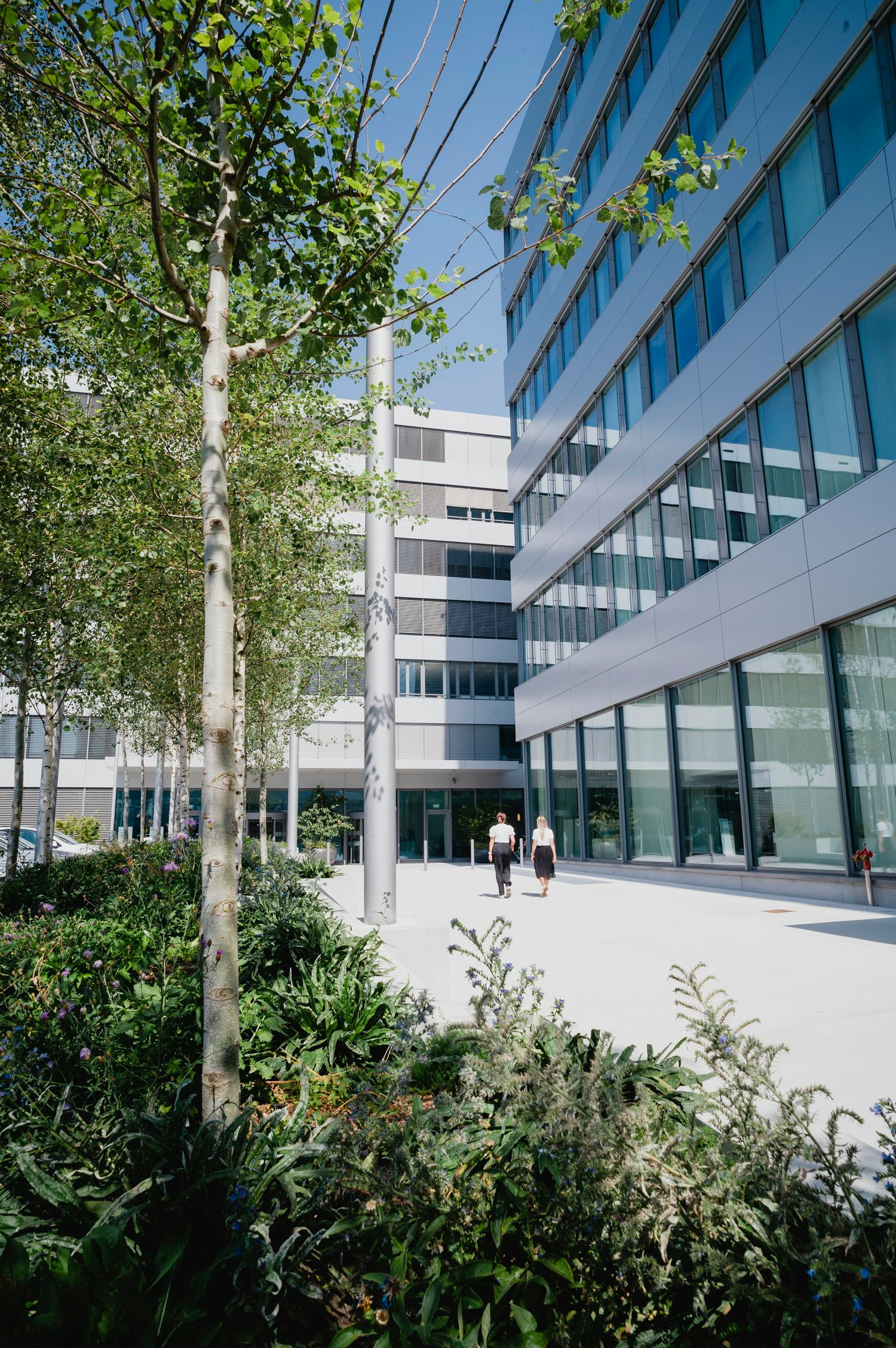 2980m² office