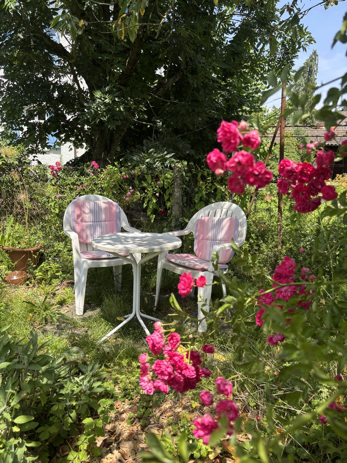 Appartamento di 2 ½ locali, foto 8 di 9