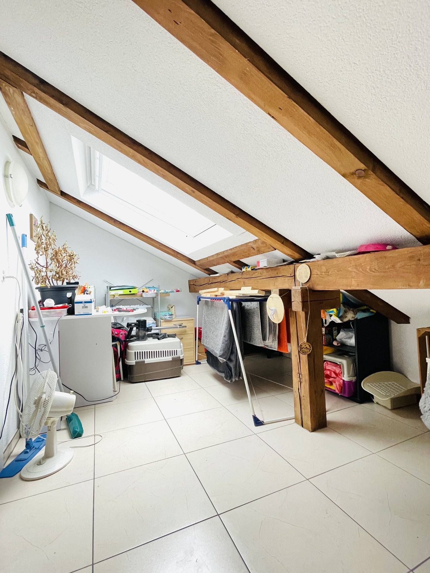 3 ½ pièces appartement