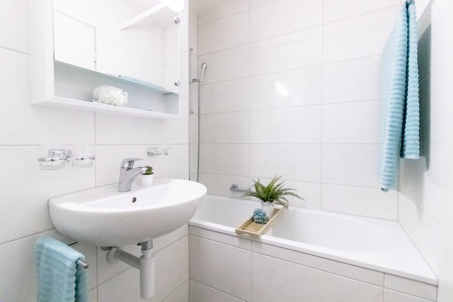 3 ½ rooms apartment (5)