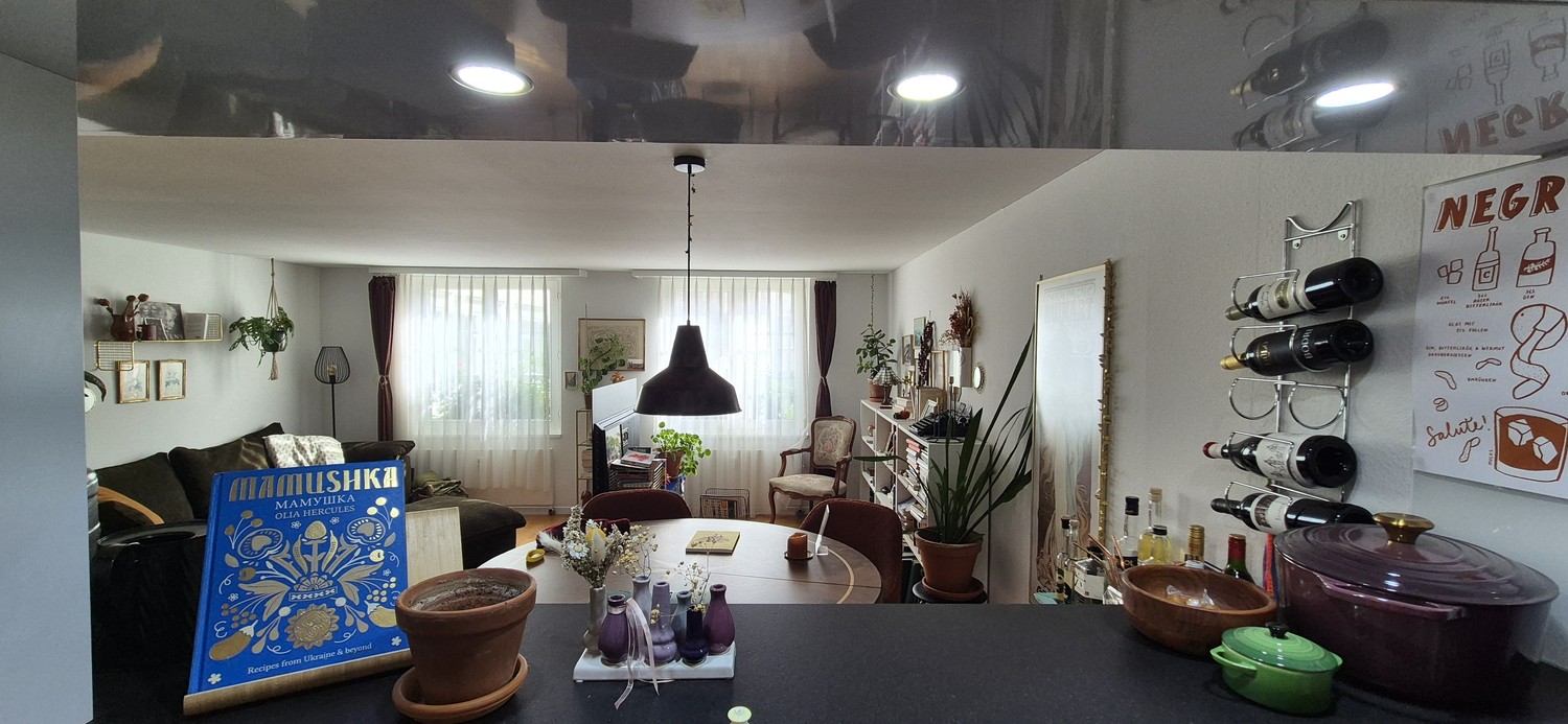 1 rooms apartment