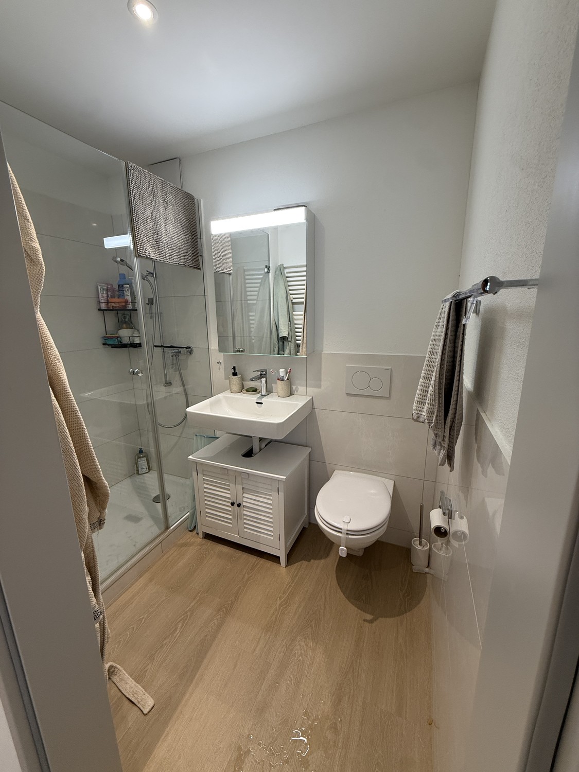2 ½ rooms apartment