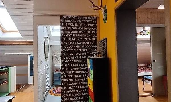 Appartement 1 pièce