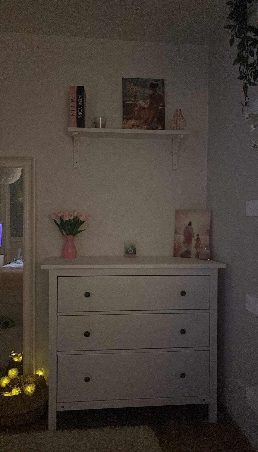 Room in a shared flat