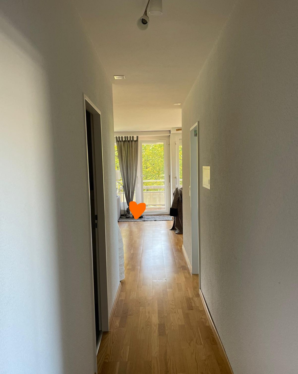 Room in a shared flat