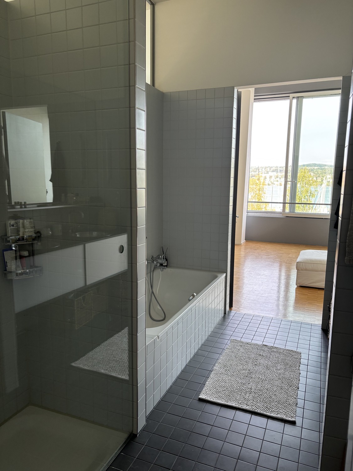 2 rooms apartment, photo 7 sur 7