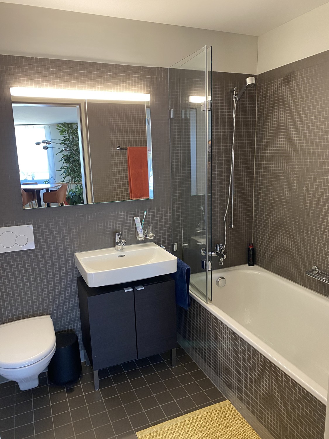 2 ½ Zimmer Wohnung