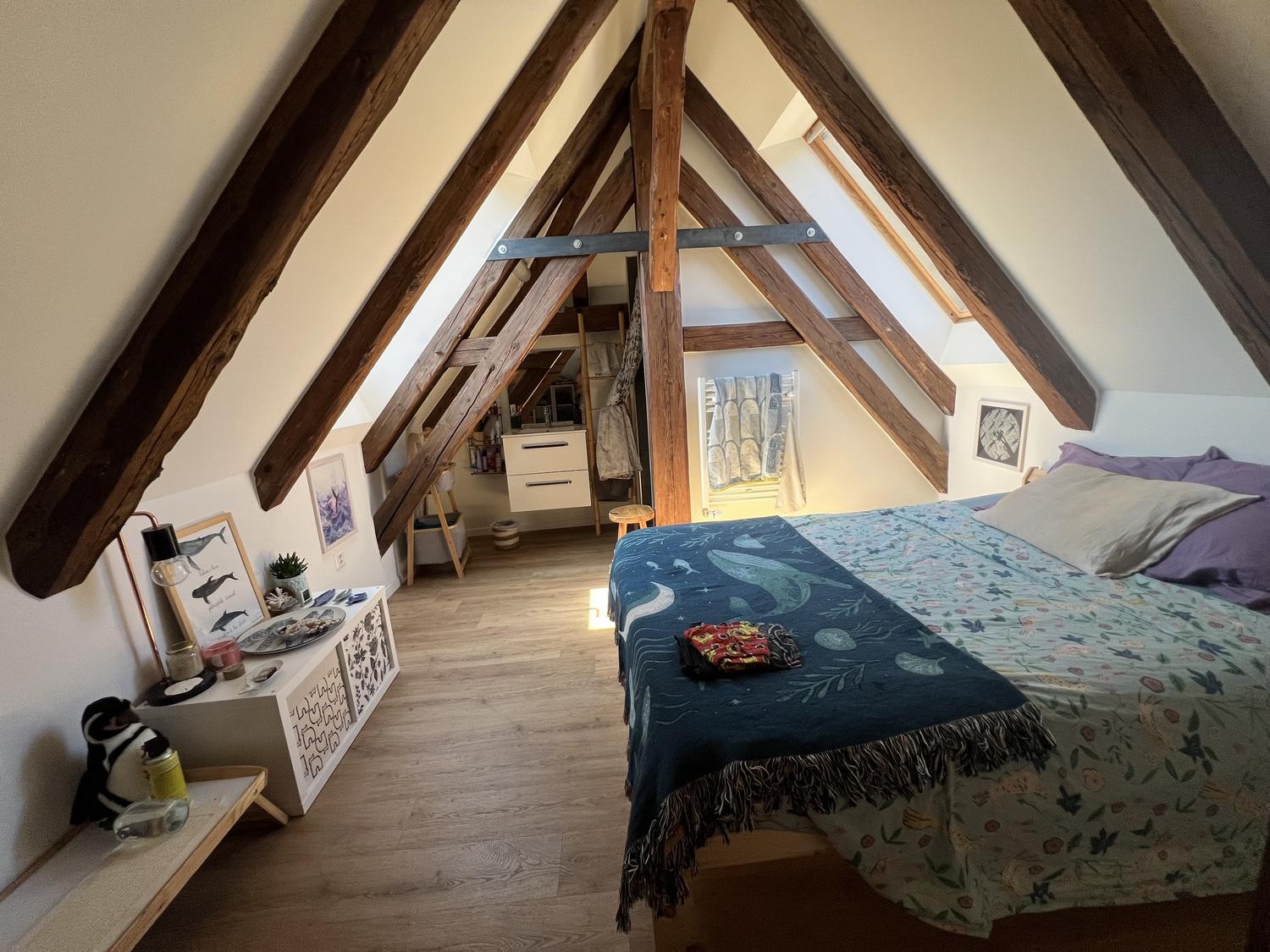 appartamento di 3 ½ locali