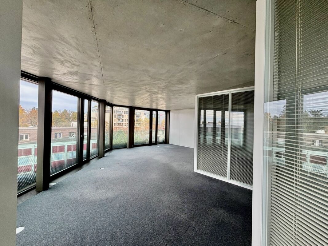 255m² office, photo 6 of 10