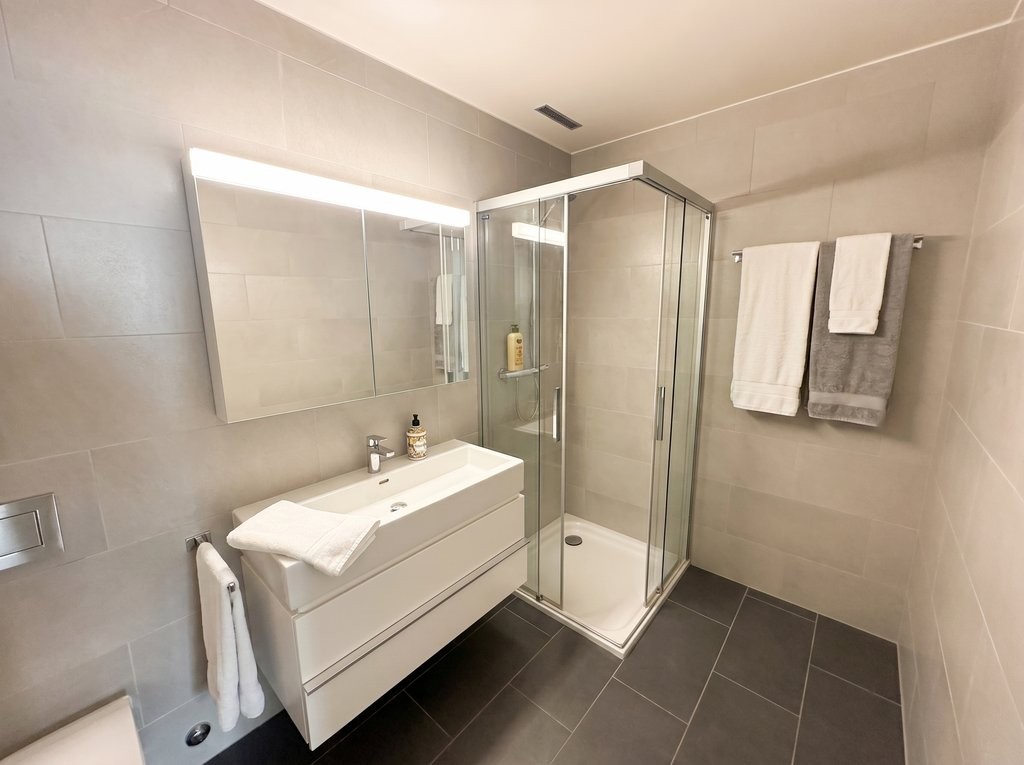 4 ½ rooms apartment (7)