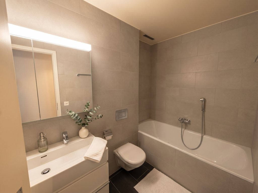 4 ½ rooms apartment (8)