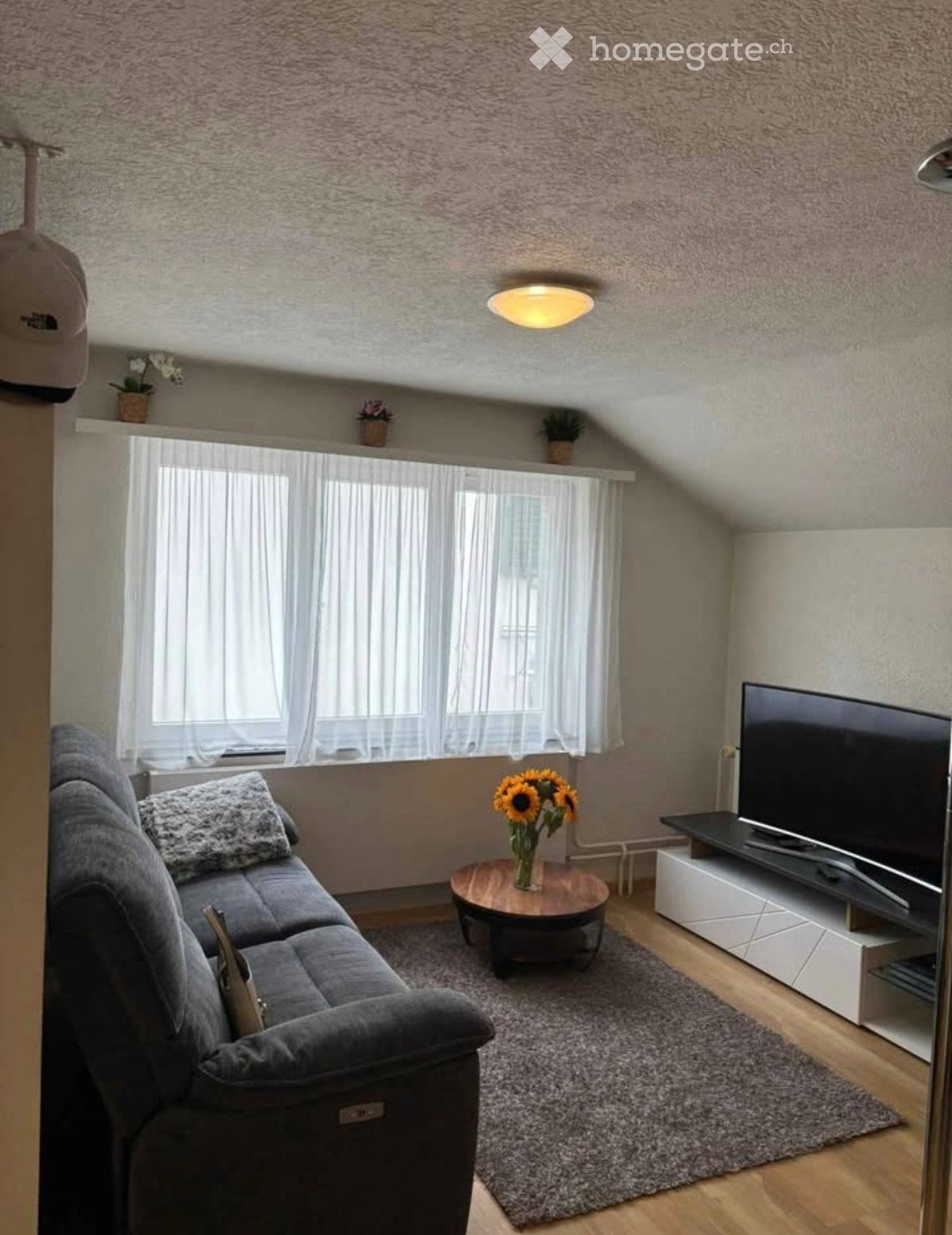 Appartement de 2 ½ pièces