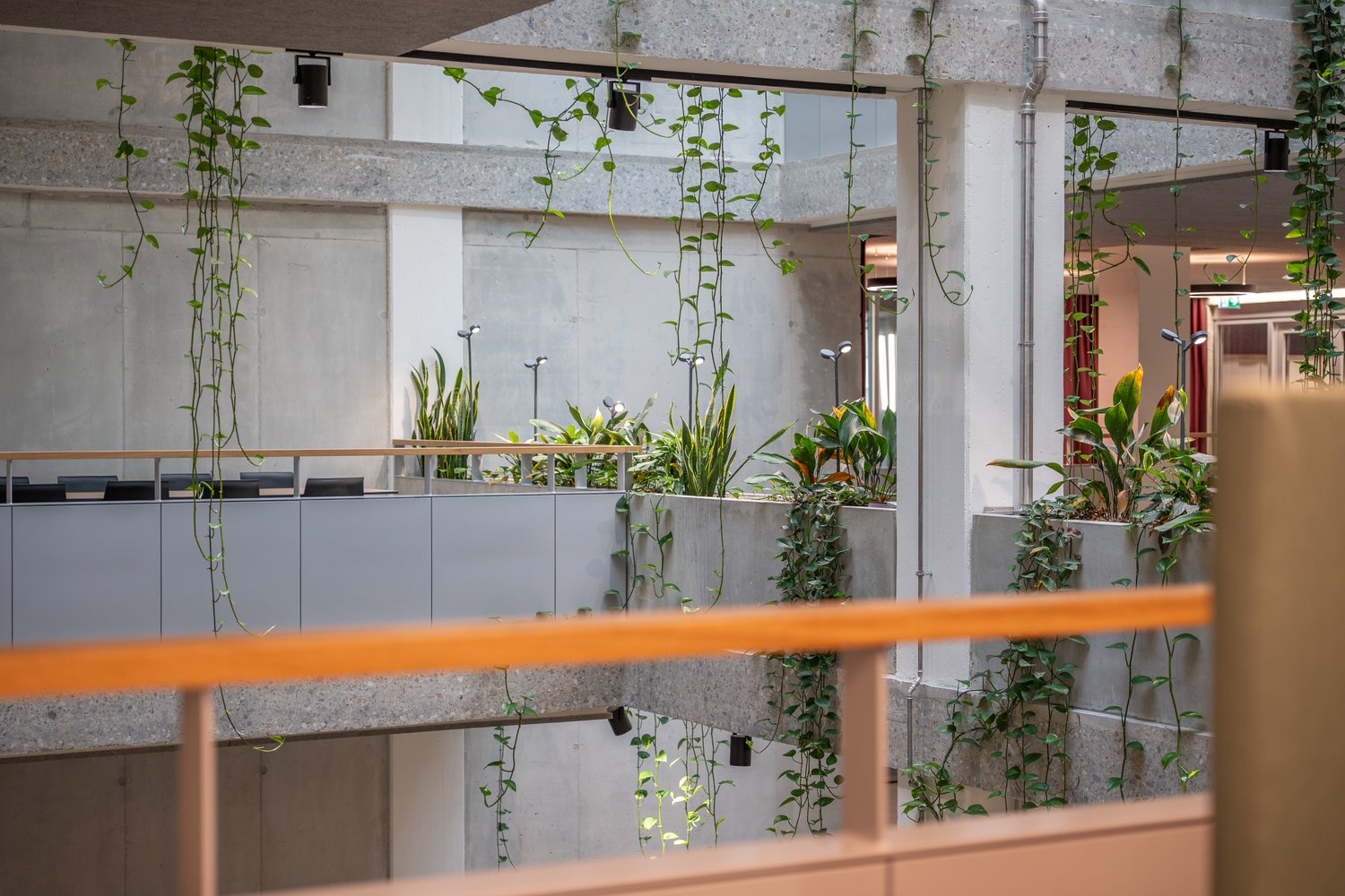 1990m² commercial, photo 7 of 9