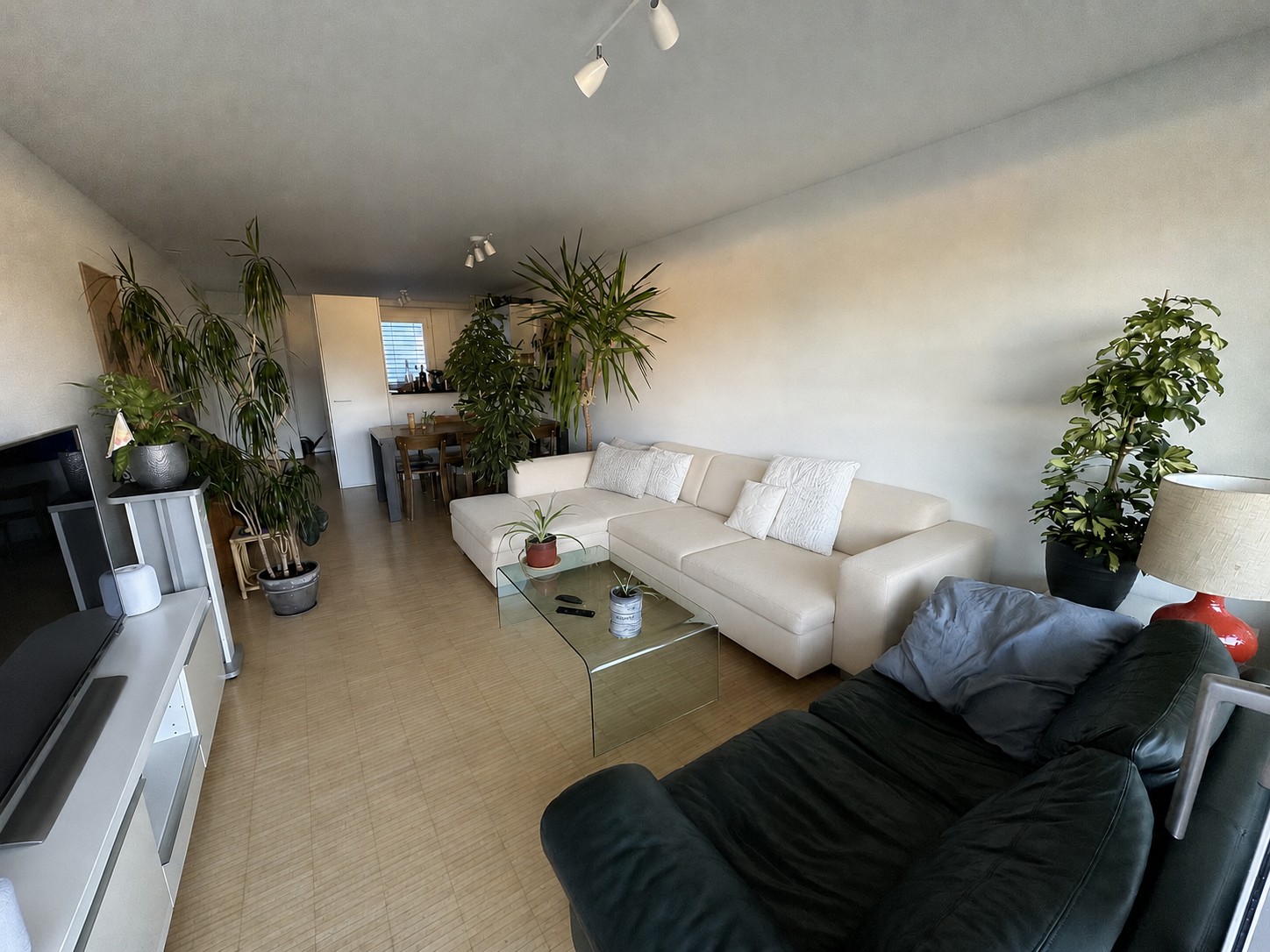 Chambre dans un appartement partagé, photo 6 sur 6