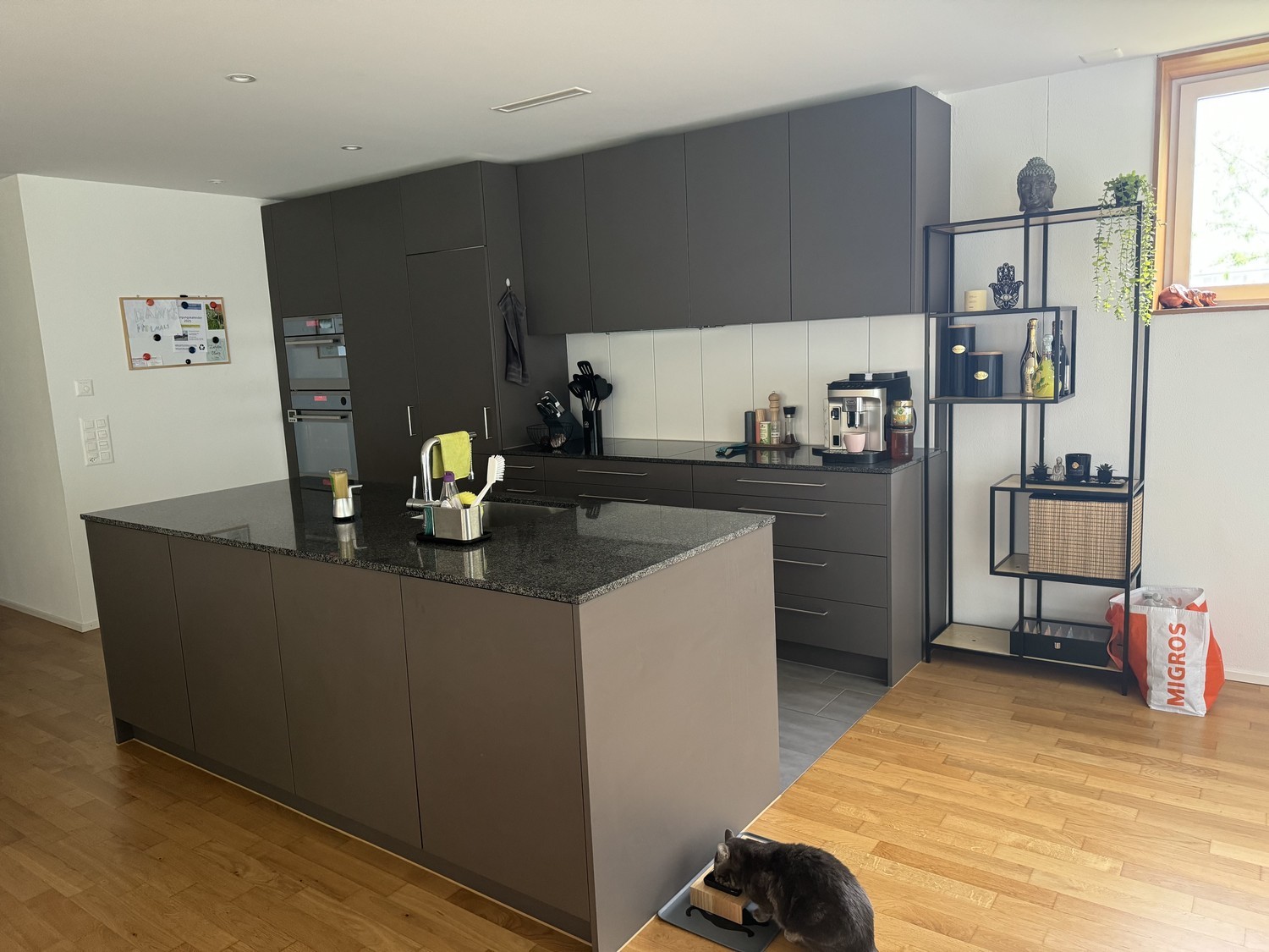 Chambre en colocation