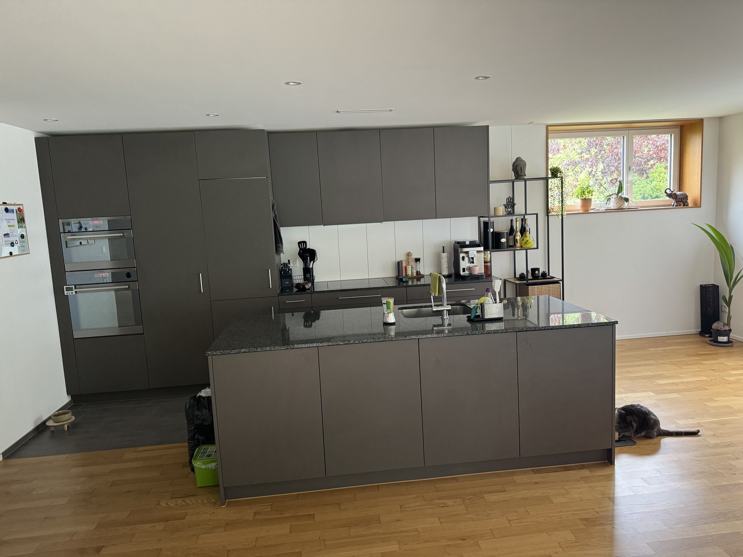 Chambre en colocation