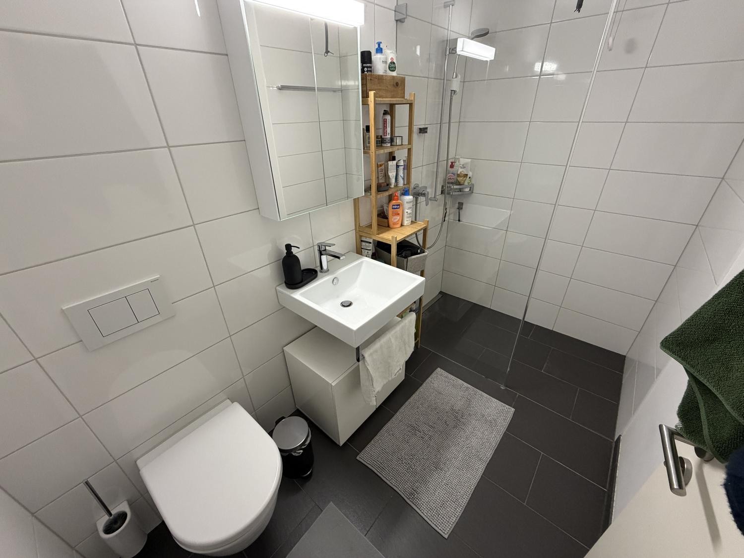 3 ½ rooms apartment
