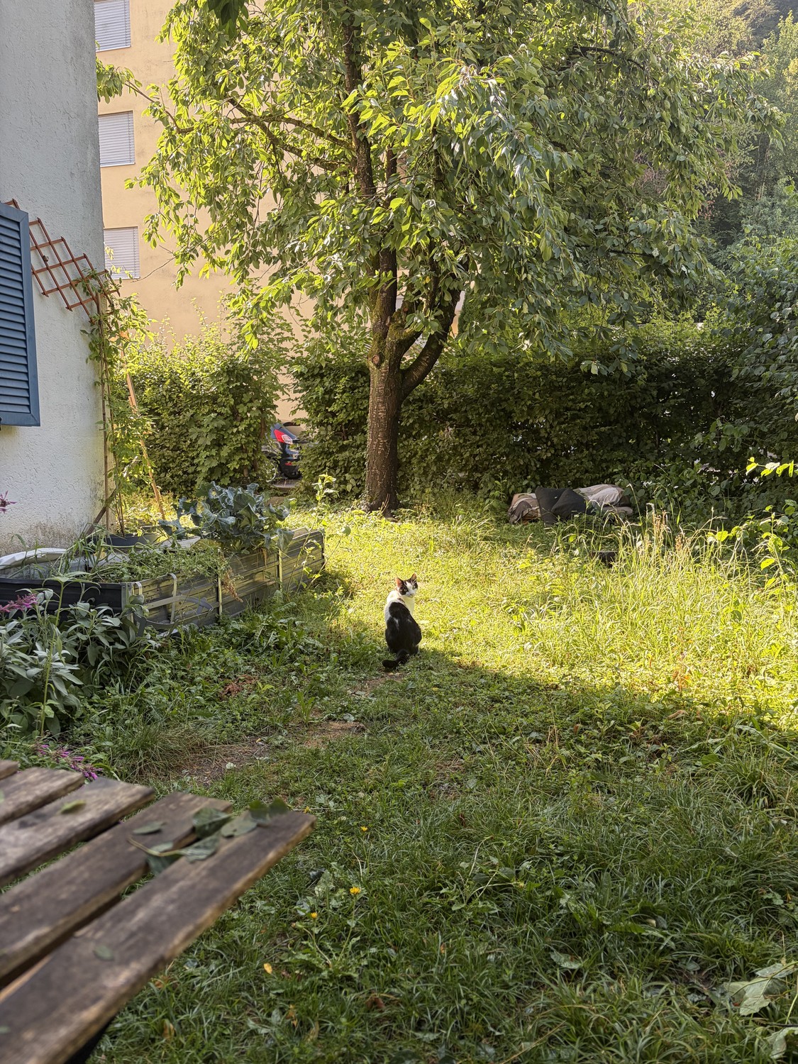 Stanza in un appartamento condiviso, foto 4 di 8