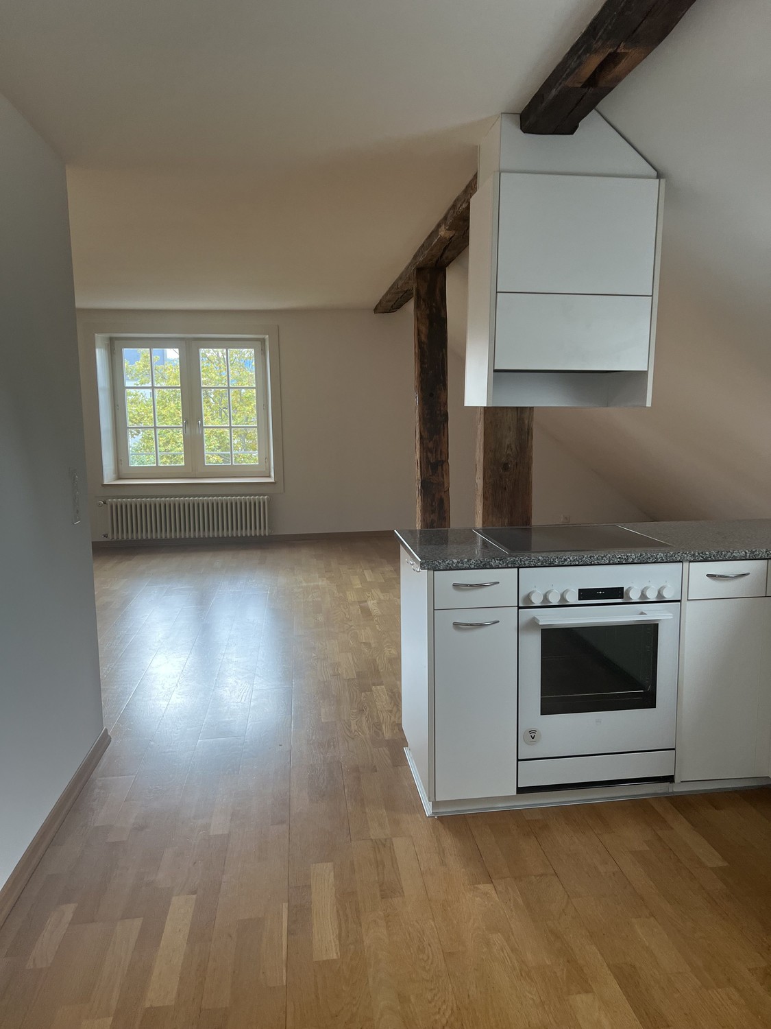 3 rooms roof flat