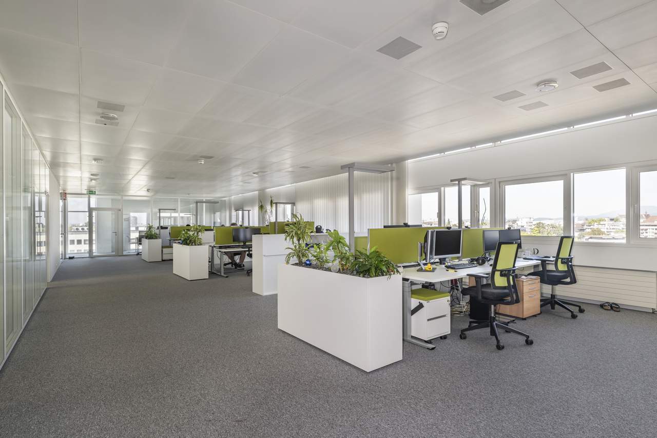 700m² de bureaux