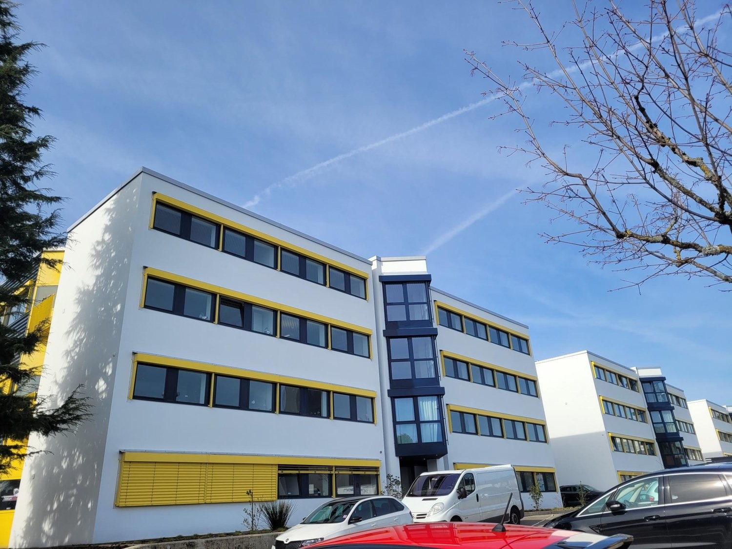 245m² office