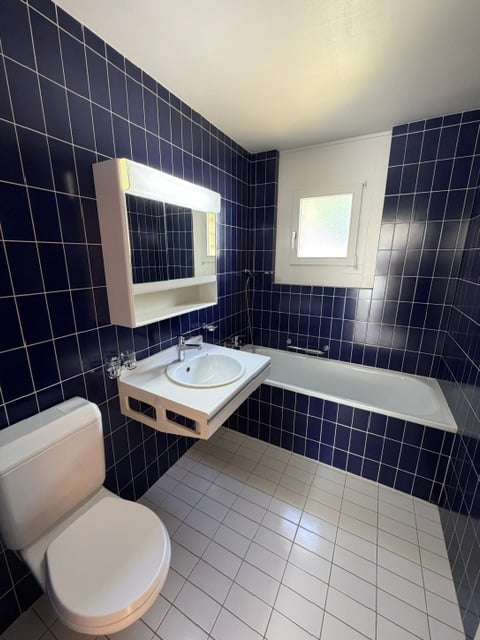 2 ½ Zimmer-Wohnung