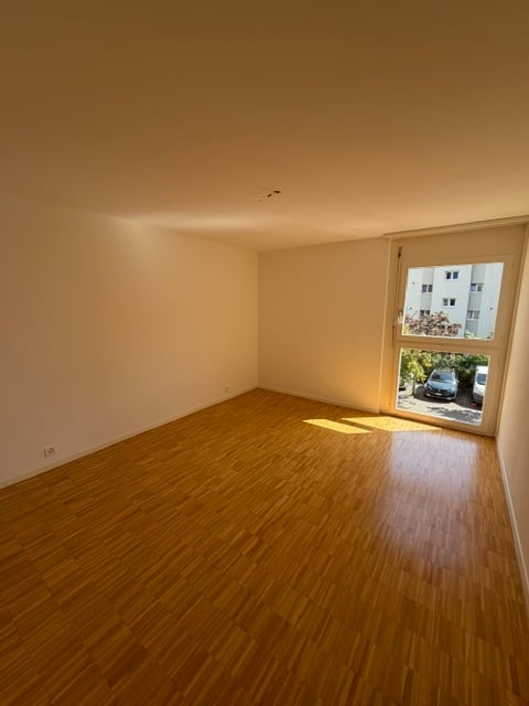 2 ½ Zimmer-Wohnung