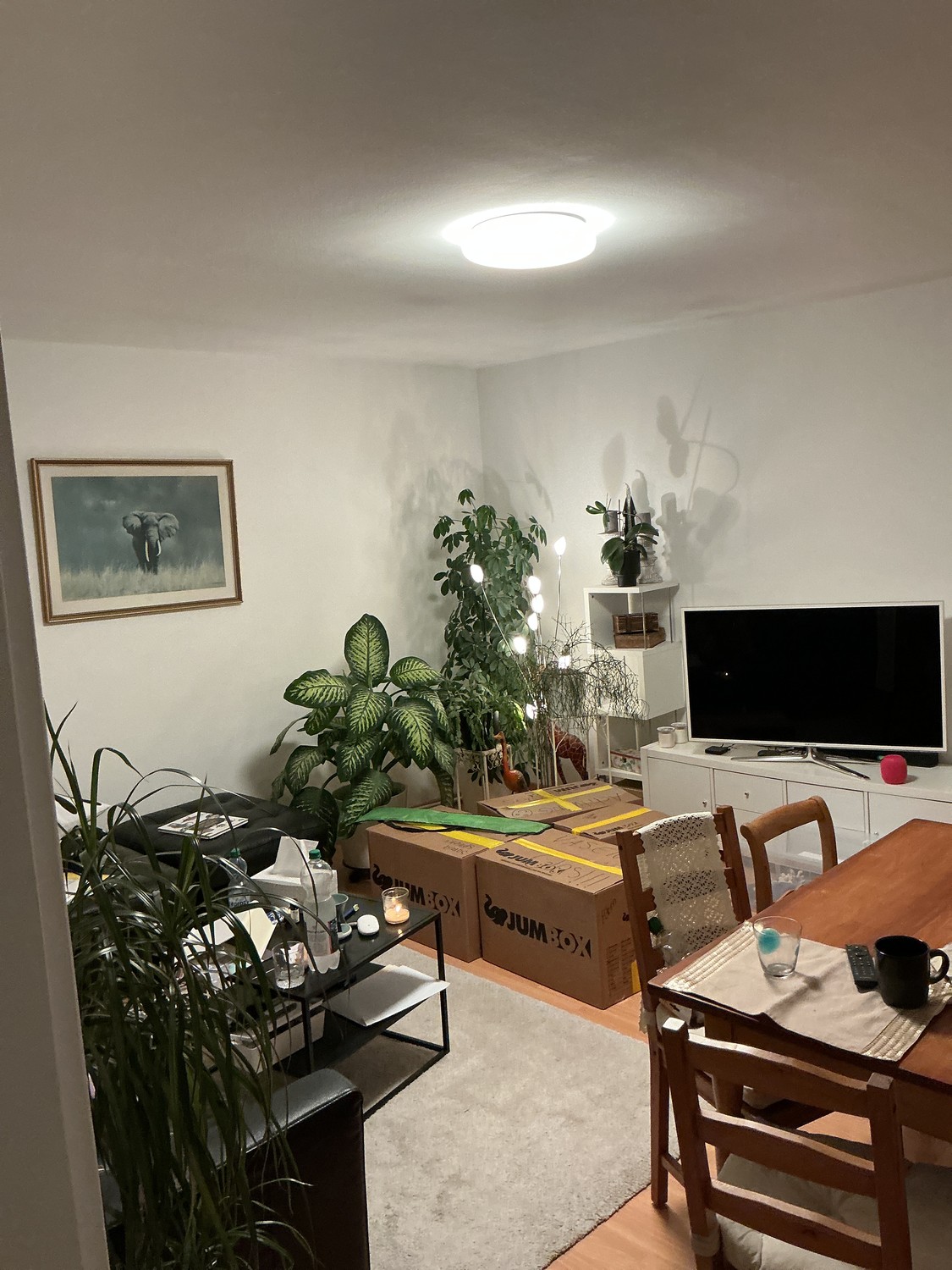 appartamento di 2 locali